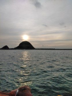 今年も有田へ太刀魚・・